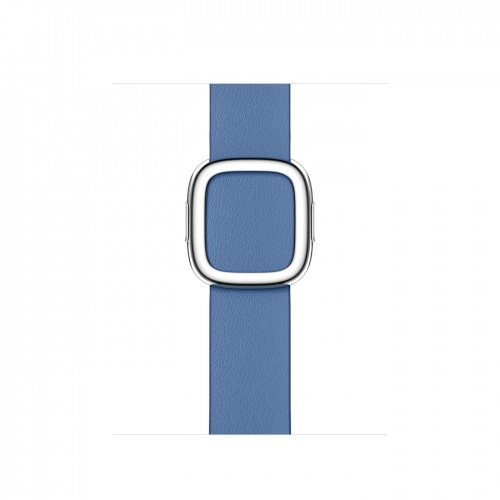 Ремешок Modern Buckle для Apple Watch 41 мм, голубой